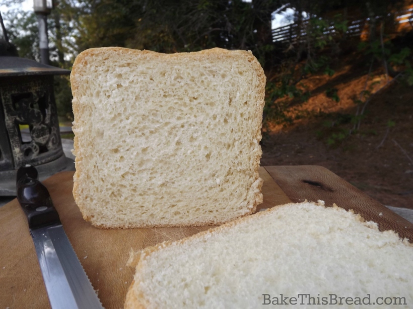 Sliced loaf of whole 6666666wheat country bread in garden by bake this bread
