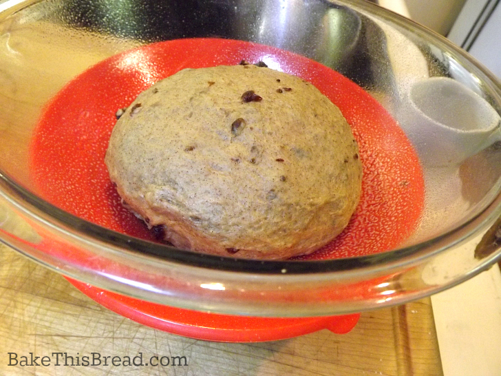 before first rise of homemade cinnamon dough recipe by bake this bread
