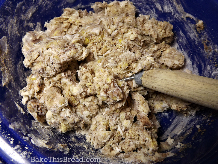 Initial mixing of cinnamon bread dough with danish bread whisk by bake this bread
