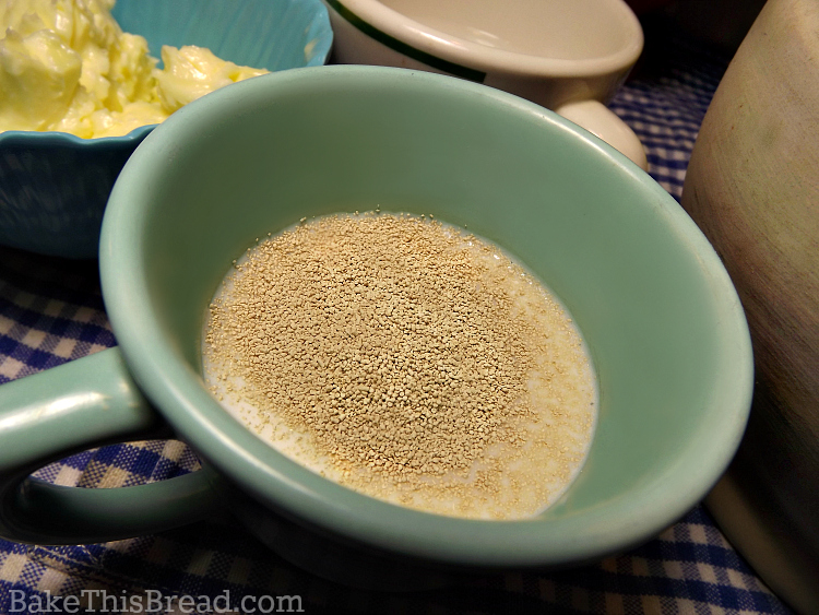 Preparing yeast for homemade cinnamon bread recipe by bake this bread