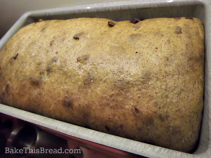 Cinnamon Swirl Bread Dough Fully Risen and ready to bake by bake this bread