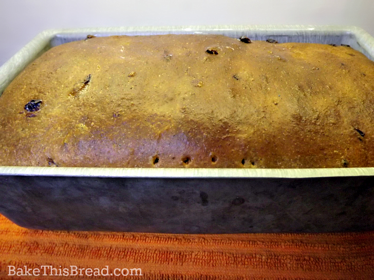 Recipe testing for internal temperature of cinnamon swirl bread by bake this bread