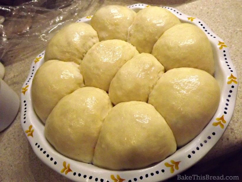 homemade fluffy yeast rolls using dried egg whites and buttermilk powder by bake this bread